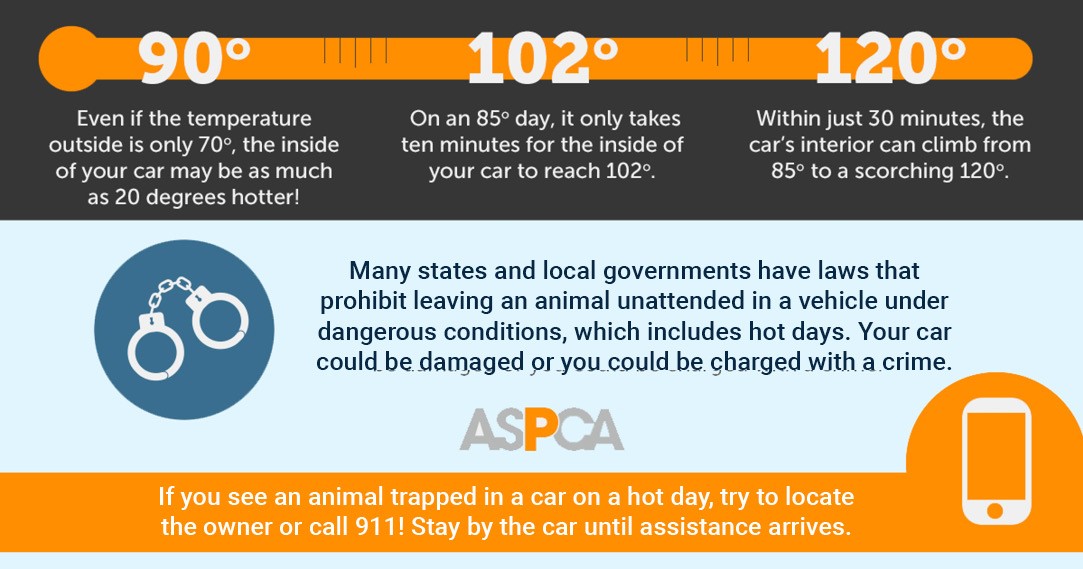 Apple Valley Police (@applevalleypd) on Twitter photo 