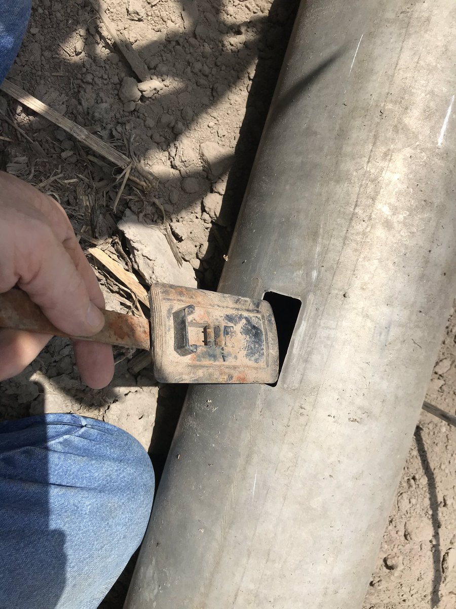 dbatie's tweet photo. Dang, I hope I remember how to do this, didn’t have to irrigate in 2018 &amp; 2019. #gatedpipe #poormanirrigation https://t.co/am61WZ0D57