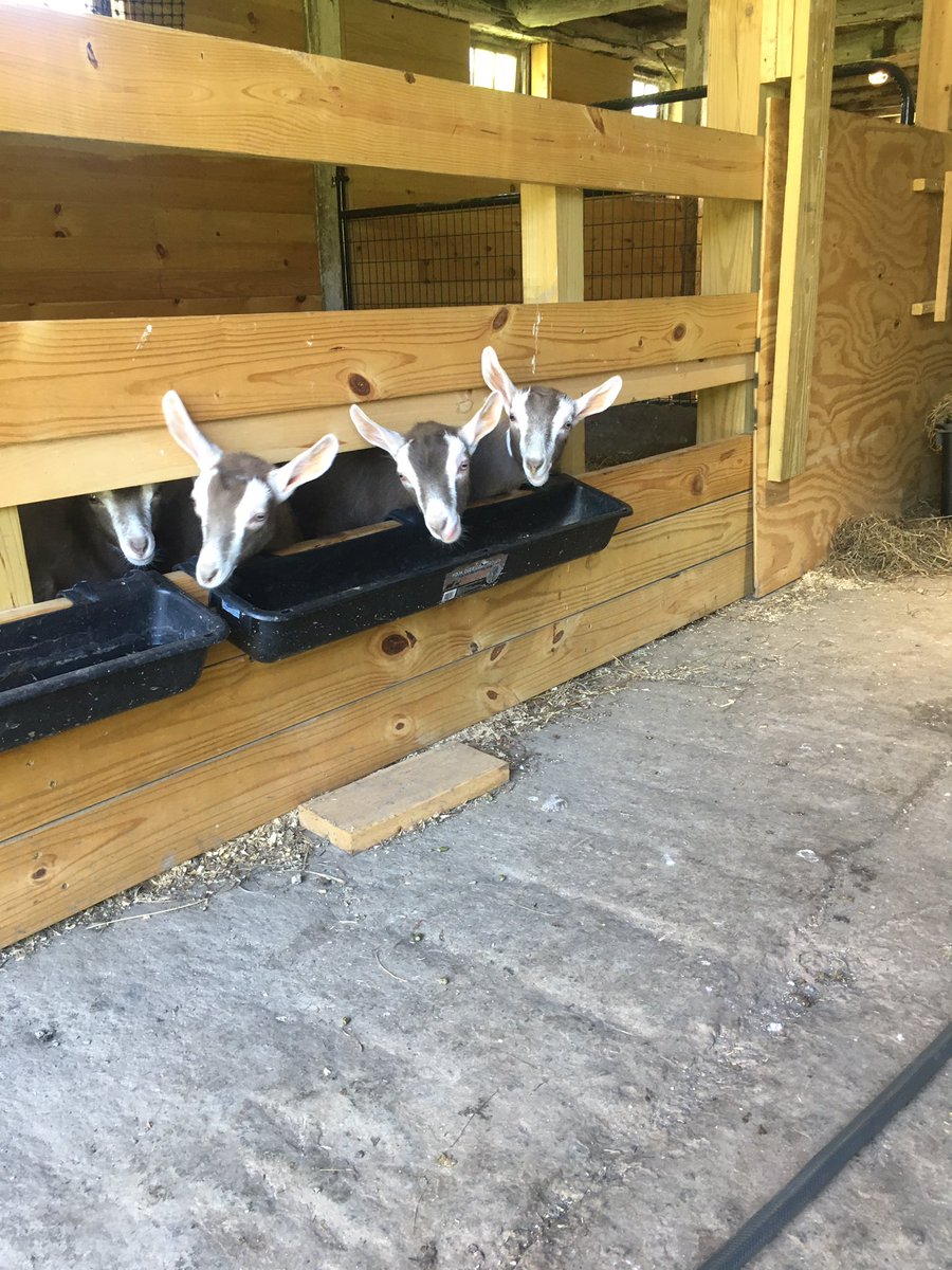 Jim VanDerlinde tweet media