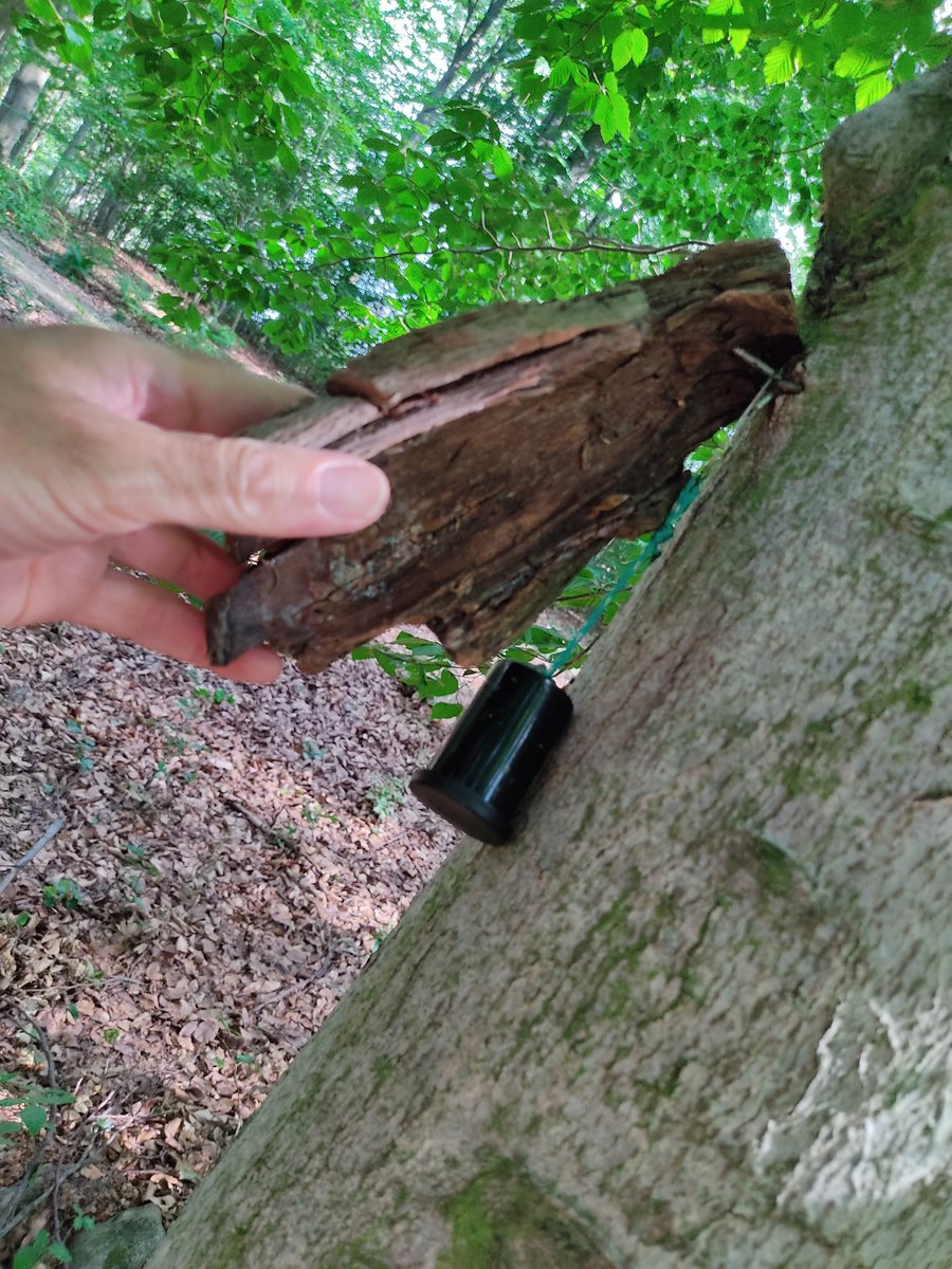 Becherzone (@becherzone) on Twitter photo Natürlich habe ich unterwegs keinen Cache ausgelassen 🚴👍🏻
#geocaching
<a href="/LiveGeocaching/">Geocaching Live</a>
<a href="/Geocaching_Pics/">Geocaching Pictures</a>
<a href="/GeocachingTweet/">Geocaching Tweets</a> Natürlich habe ich unterwegs keinen Cache ausgelassen 🚴👍🏻
#geocaching
<a href="/LiveGeocaching/">Geocaching Live</a>
<a href="/Geocaching_Pics/">Geocaching Pictures</a>
<a href="/GeocachingTweet/">Geocaching Tweets</a>