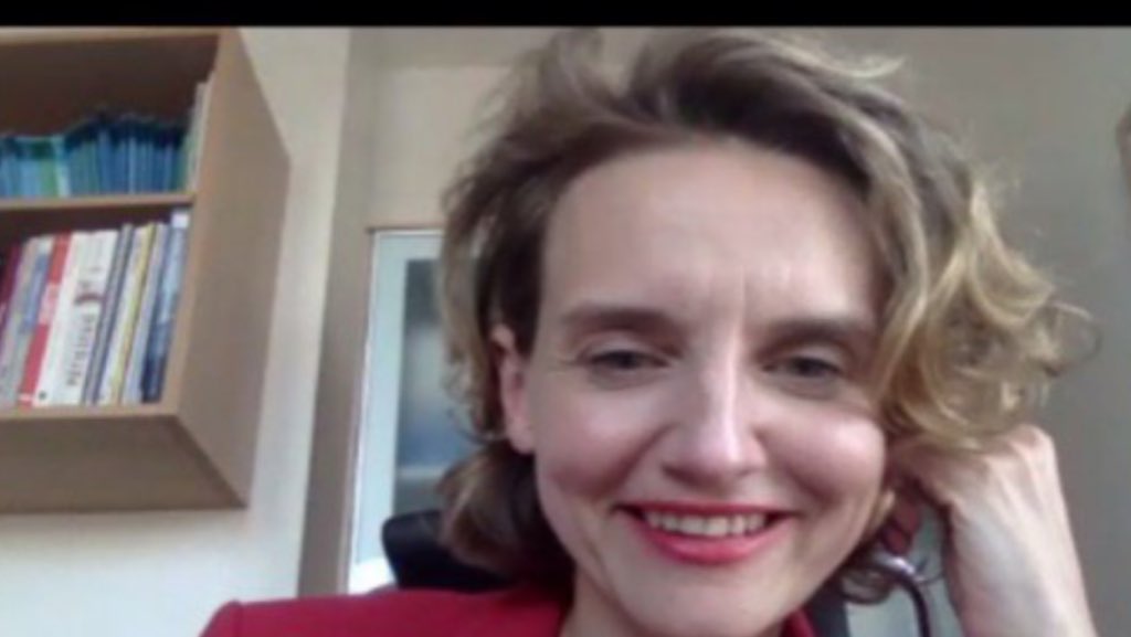 CZacharopoulou's tweet photo. 🙏@celinecalvez pour ton invitation. Plaisir d'échanger aux côtés de @sandrogozi avec les marcheurs des @JeunesMacron92 @JeunesMacron92 : #Europe de la #santé, #GreenDeal pr la transition écologique, coopération avec l'#Afrique, #PacteSimoneVeil, multilateralisme.#WeAreEuropean https://t.co/6ySV3vLZu4