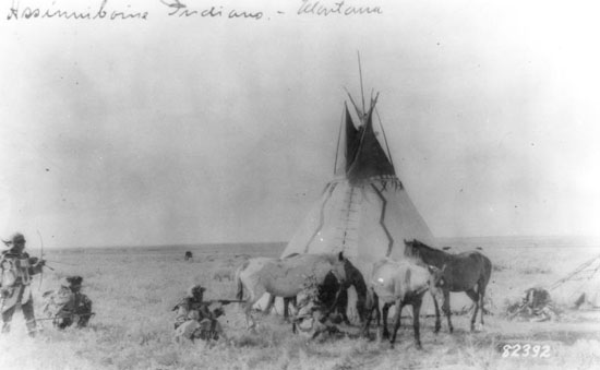 The traditional Nakota Oyadebi lifeways exhibited most of the classic Plains tribes traits: experienced bison hunters who lived seasonal camps or villages while following the herds, but also hunting other big & small game while practicing horticulture according to the seasons.