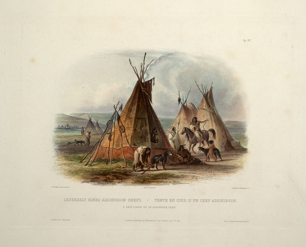 The Natoka/Assiniboine became a major trade partner with European traders in the region. However, contact with the Europeans resulted in a devastating number of deaths caused by infectious diseases. The tribe was estimated at 10,000 people in 18thC to approx 2,600 people by 1890.
