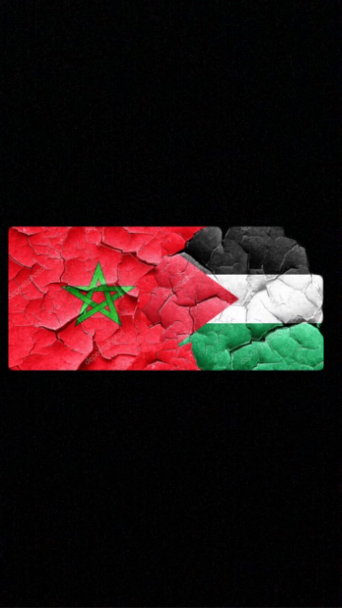 MohaElm2's tweet photo. #FreePalestine https://t.co/5PQKHGFms4
