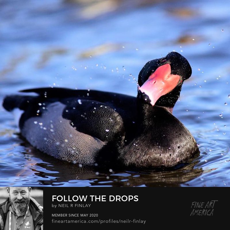 bluelensphotouk's tweet photo. And a few more. The #portfolio is #growingquickly so keep #checkingback or #letmeknow if you have a #favourite that I haven’t #included with the #newportfolio yet? https://t.co/cJiO8Z6BOg