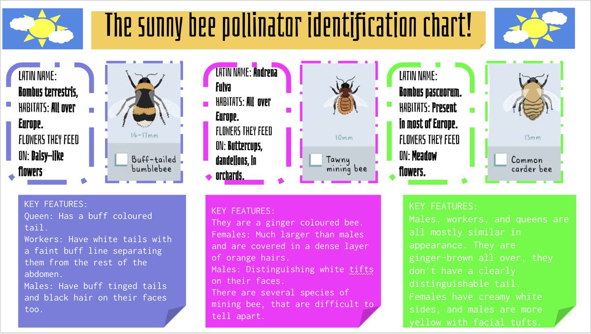#ArtsWeek2020 What an amazing amount of nature inspired designs, photographs and reports. Well done to everyone for understanding the importance of our wildlife! These are beautiful. #GDST <a href="/CroydonHigh/">Croydon High School</a> 🌱🐝🦋🐛