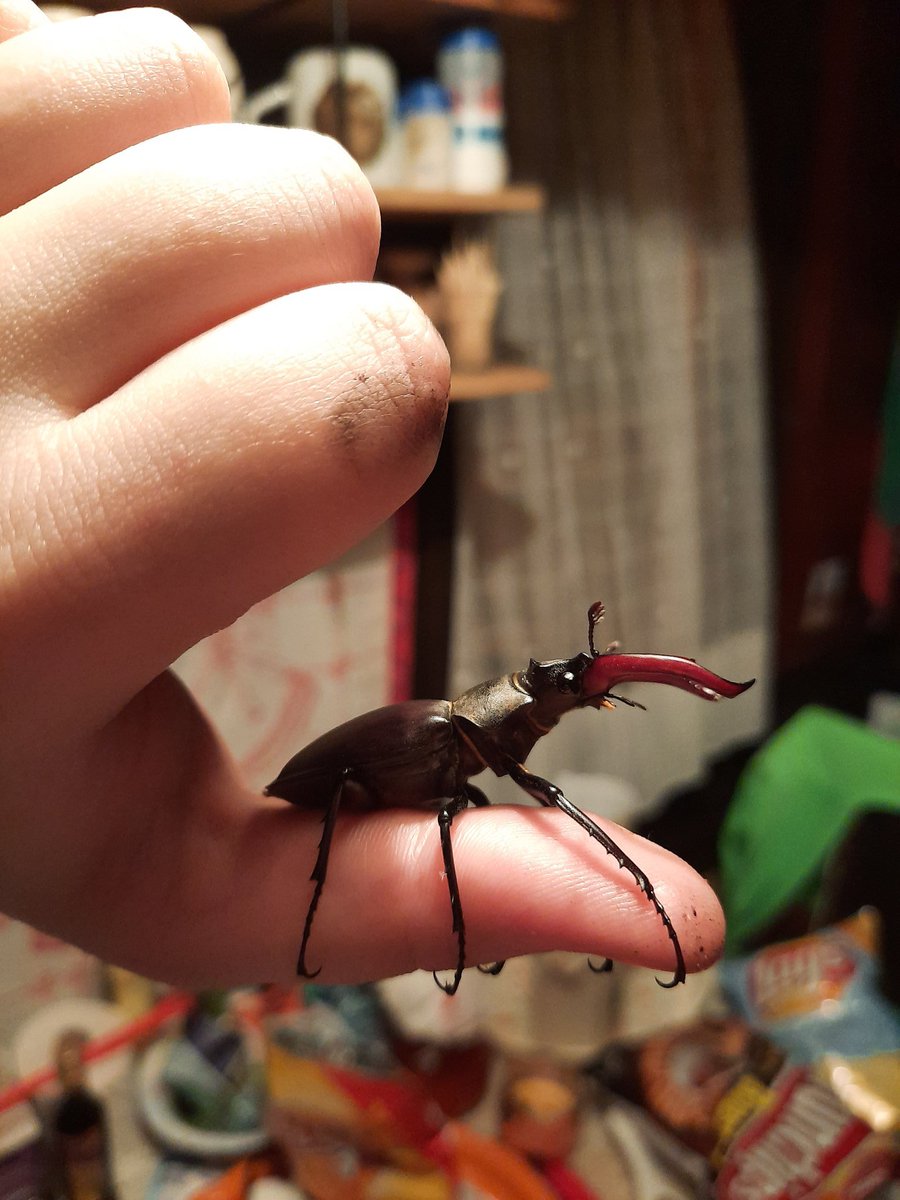 Hey im your dad whats up🏴1312🚷🚩 tweet media