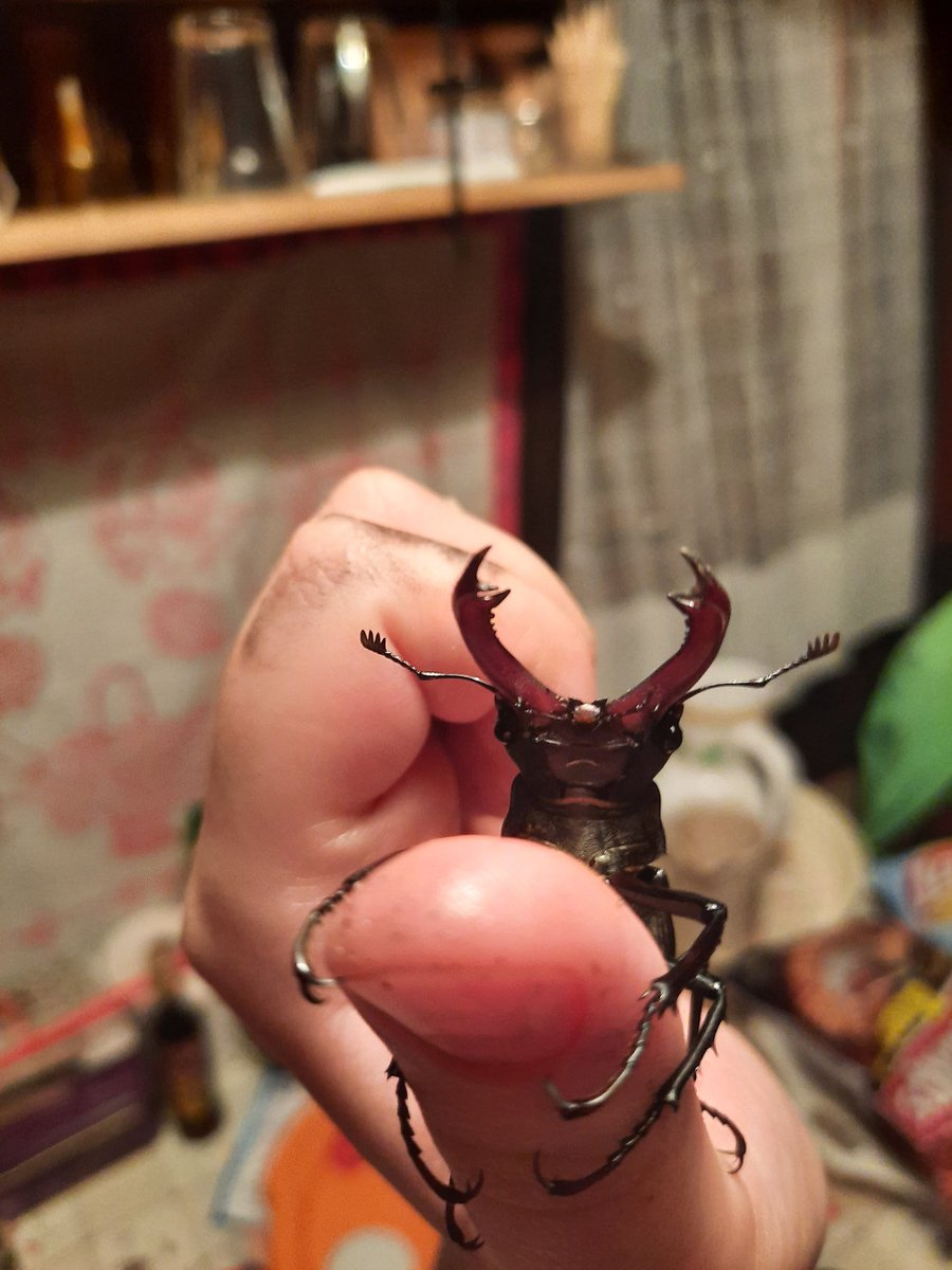 Hey im your dad whats up🏴1312🚷🚩 tweet media