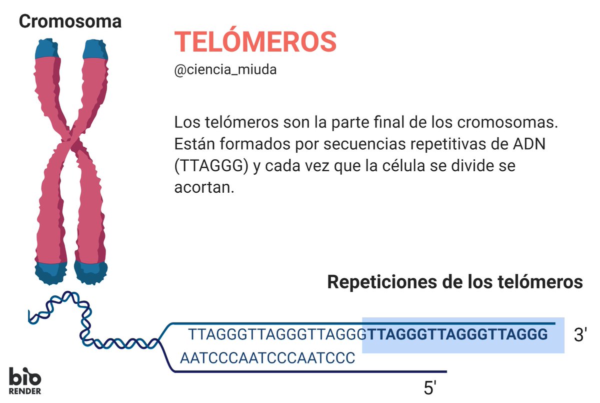 🚨⚕️Cromosoma 👨\u200d⚕️🏥, image size:1200x805