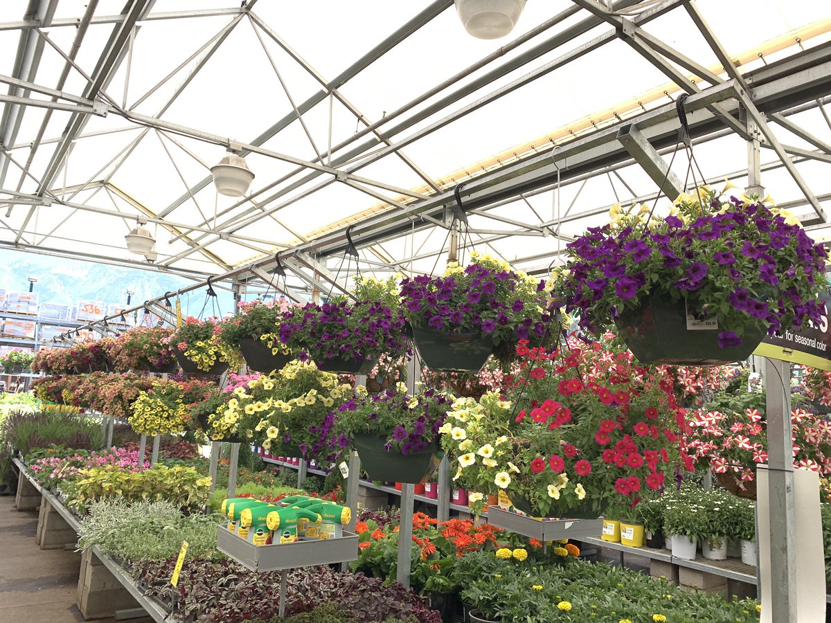 Joe Alvarez tweet media