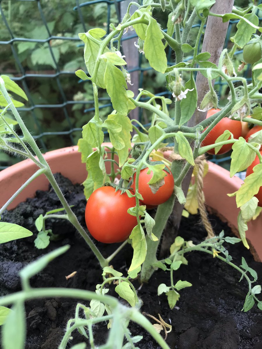 Eileen schofield tweet media