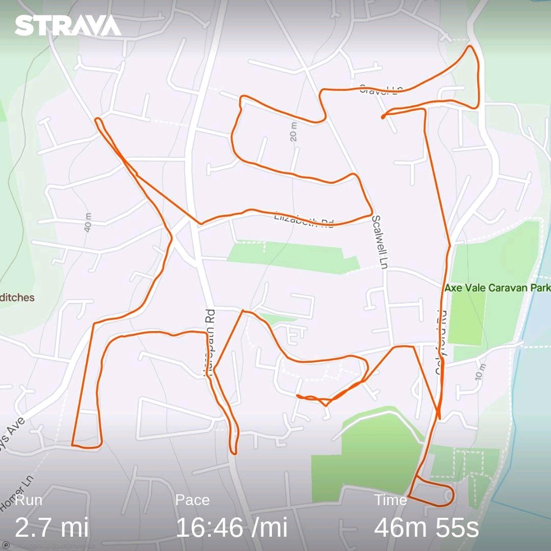 Another run this morning -- and another dog. Tired legs but happy dog.