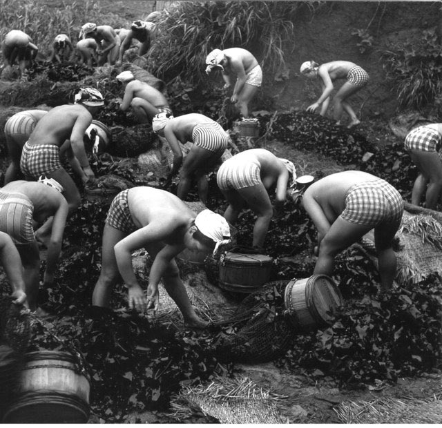 In the late 1920s, Yoshiyuki received a Kodak camera as a gift and he started to photograph the girls and women who harvested seaweed, turban shells, oysters, pearls and abalone from along the coastline.