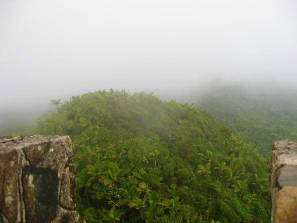 SolBorinquen's tweet photo. Mt. Britton tower hike #MtBritton #ElYunque #rainforest #hiking #Borinquen #TBT #PuertoRico #ElPico el pico lol #IWasHere with water and a little wine, and a little snack for incentive to hike up this steep peak :) 👽🛸 there are rumors of #UFOs visiting up here. #WorldUFODay 🪐 https://t.co/QhJQyXTw5N