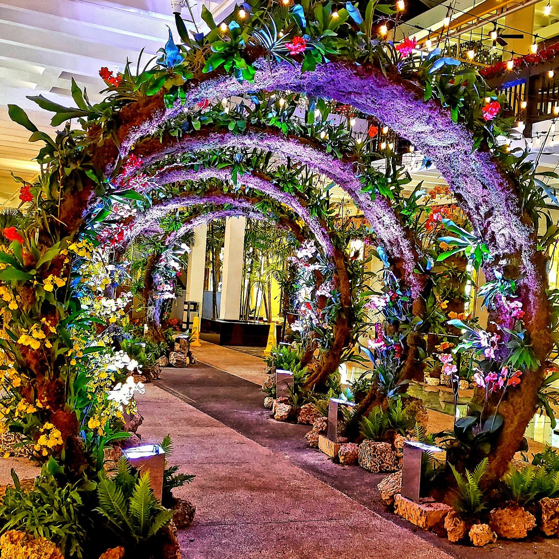 go2events's tweet photo. Lily Kwong Studios at the Bal Harbour Shops. Lighting by Go2Events.
#go2events #eventplanning #audiovisual #lightingdesign #lilykwong #studiolilykwong #balharbourshops #Miami #Florida https://t.co/4rVHZL0Abm