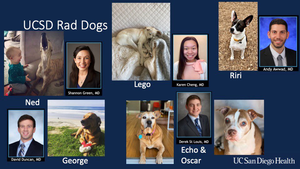 UCSDRadRes's tweet photo. Great work @AdamARobinsonMD and @IRdocAndy! The fur kids were a great addition to the R1 orientation! #radres #July1st #residency @UCSDImaging #radiologyisruff https://t.co/Ige42Y3Zoy