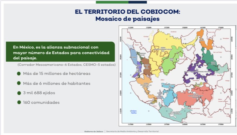 karmenglozano's tweet photo. El @cobiocom busca conservar el patrimonio natural y cultural del occidente de 🇲🇽 

Hoy en la sesión ordinaria todos los miembros, por unanimidad, acordaron elaborar el Plan de Acción al 2024

@ReforestamosMx coordina, aliados @CONAFOR @GIZMexico @WWF_Mexico https://t.co/TP0PLLgd17