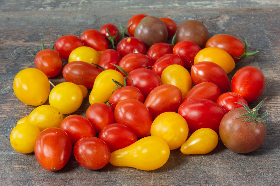 Mention spéciale à la tomate cerise.Celle ci est de loin ma préférée. Elle est parfaite que ce soit seule, dans une salade ou pour l'apéritif. Elle existe dans de nombreuses formes et couleurs, que ceux qui n'y ont jamais goûté se repentissent.