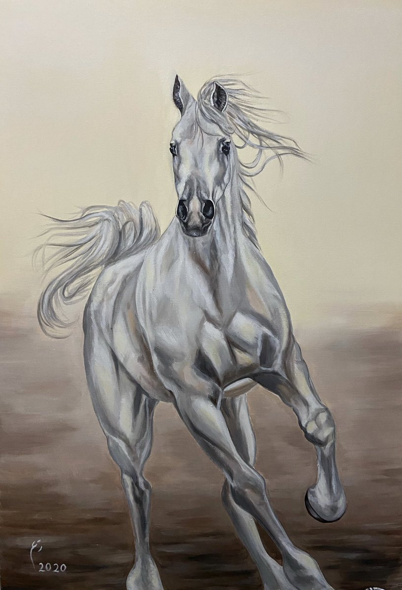 Reemsmb's tweet photo. أشبهه باللي عسيفٍ من الخيل تلعب وانا حبل الرسن في ايديا ❤️ https://t.co/RM3AcIxMhE