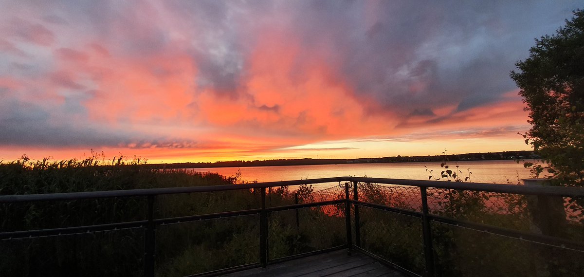 Watching the midnight sun. Thinking about how shit this year has been and how it just doesn't end.