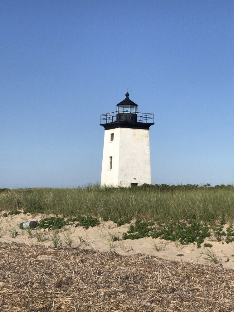 AugustWest420's tweet photo. #longpointlight
@TigerRose420 https://t.co/p0NyWo13kP