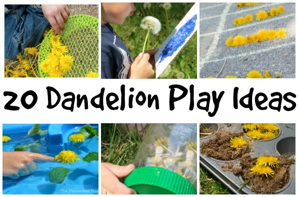 ATaylor68564341's tweet photo. Why not try these 20 fun-filled dandelion activities to try this spring and summer.
https://t.co/FxRwK7Qgao @ClivetheCrane https://t.co/J84N8iMx4v