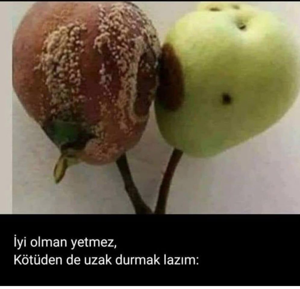 Eylem Cülcüloğlu (@eylemculculoglu) on Twitter photo 