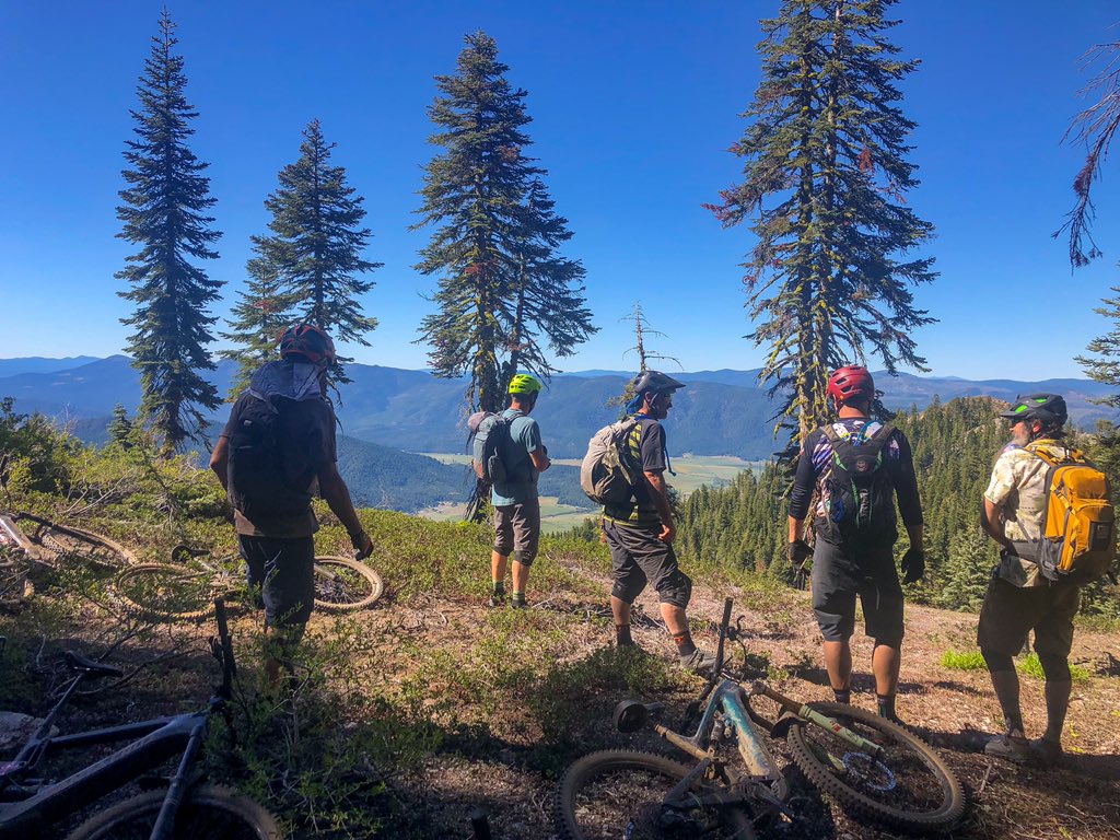 PaulComponent's tweet image. Paul rides an Ebike on Mt Hough, Lindsay explains Insect Galls, and...Secret Parts?...
us4.campaign-archive.com/?u=5871cd1aab6…