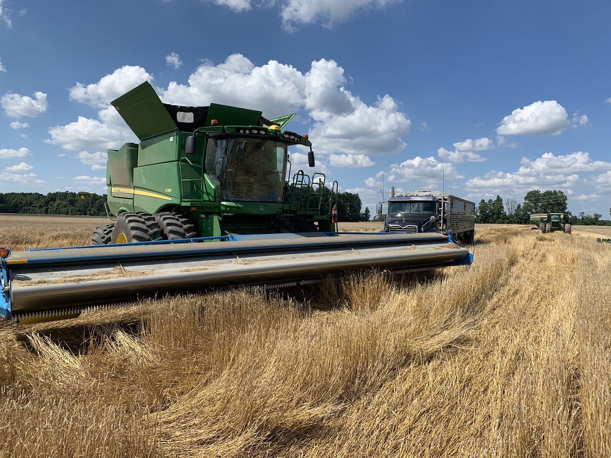miller_dylon's tweet photo. I Caramba, 90 Bushel Wheat! #FranchiseAdjuvant @LovelandAUS @BASFAgProducts @NutrienAgRetail @NutrienEast https://t.co/tUnxdefT3t