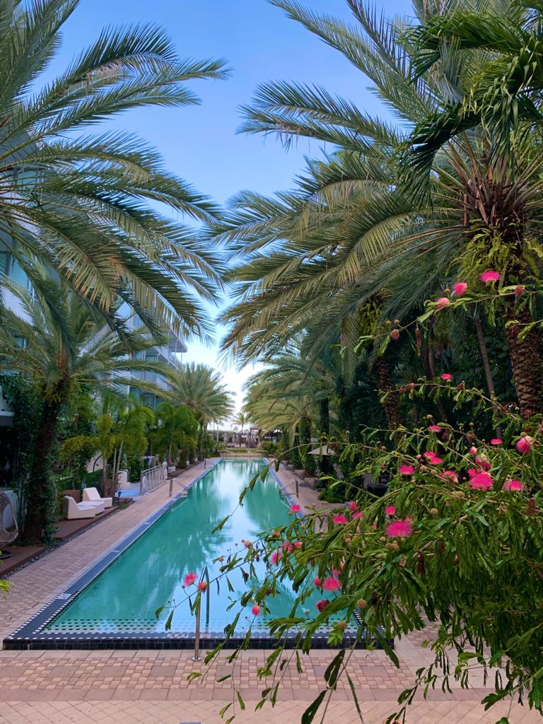 The longest infinity pool in South Beach is at The National Hotel. Getting ready to welcome you back very soon. #onlyatthenational #miamibeach #southbeach