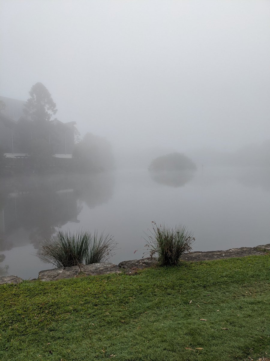 harrisontevans's tweet photo. Half expected to see some strange woman distributing swords at #UQlakes this morning https://t.co/FeylCCWlXV