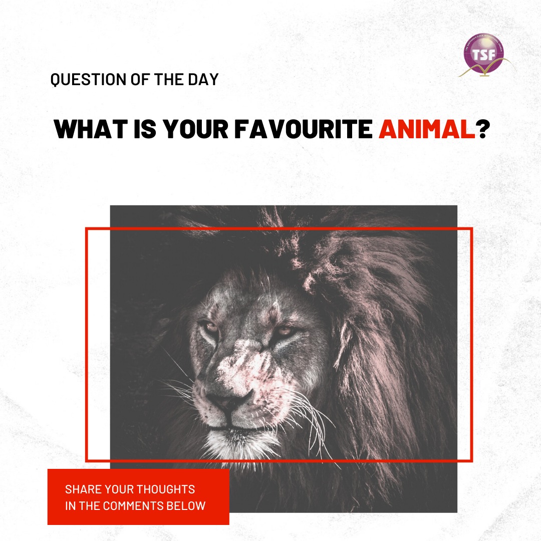 tsfchurchint's tweet photo. We want to hear from you!
#QuestionOfTheDay #TSFCommunity https://t.co/g1UeVWbfHP