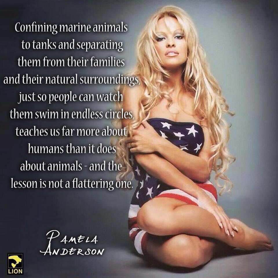 Happy birthday Pamela Anderson 