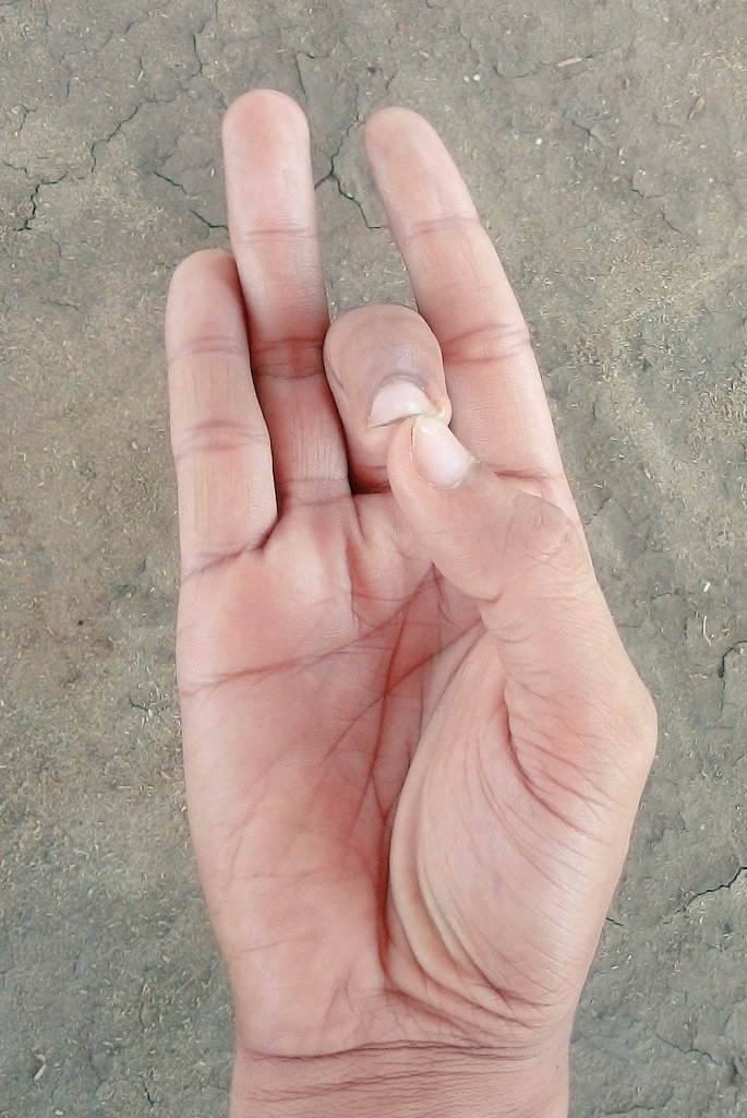 Anand_arya246's tweet photo. #आकाश_मुद्रा  #मध्यमा_अंगुली को #अंगूठे_के_अग्रभाग_से_लगा लें और बाकी की अंगुलियों को बिल्कुल सीधा कर लें।
आकाश मुद्रा करने से #कानों की #सुनने की शक्ति बढ़ती है तथा #कानों_का_बहना , #कान में झुनझुनाहट , #कानों_का_बहरापन।
#आकाश_मुद्रा से #ह्रदय रोग,#उच्च_रक्तचाप भी ठी�� होते हैं https://t.co/1kOpI5rh1E