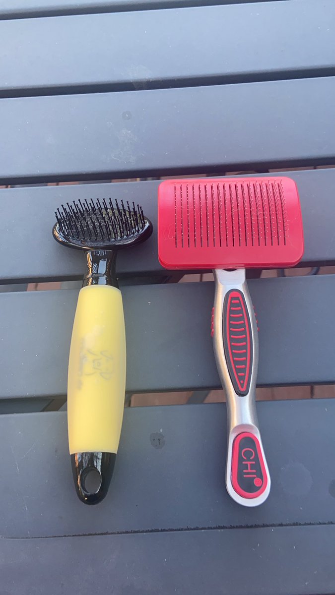 joanna_bas's tweet photo. Also, in case you’re like me and think these metal bristles would be tougher on them-our groomer told us the rubber protectors like the one on my Conair catch their hair &amp; yank on it &amp; that’s why she was screeching—so if you have one of those brushes,highly recommend replacing it https://t.co/tcvmPwZaEl