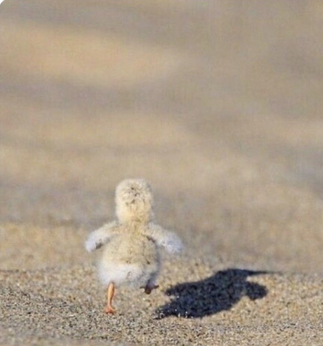 Acılara yürüyor korkmuyorum