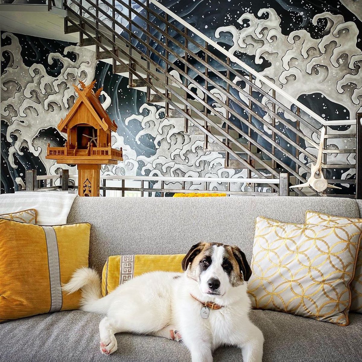 VernYipDesigns's tweet photo. My favorite sofa has somehow become Oslo’s dog bed. This is the face I get when I tell him to get off. Clearly, I’m not the boss of him. Or anyone. #ThisDogOwnsMe #VernYipForTrend #RosemaryBeachFL https://t.co/I6WWZkJGda