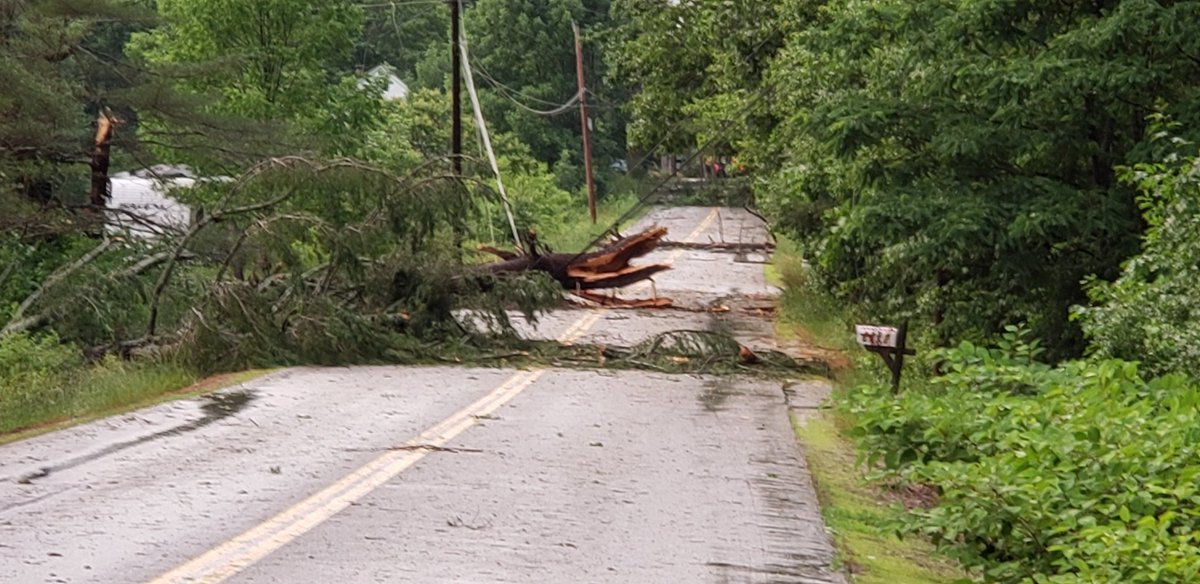 Chute road in Windham has a tree down on powerlines. Some people have