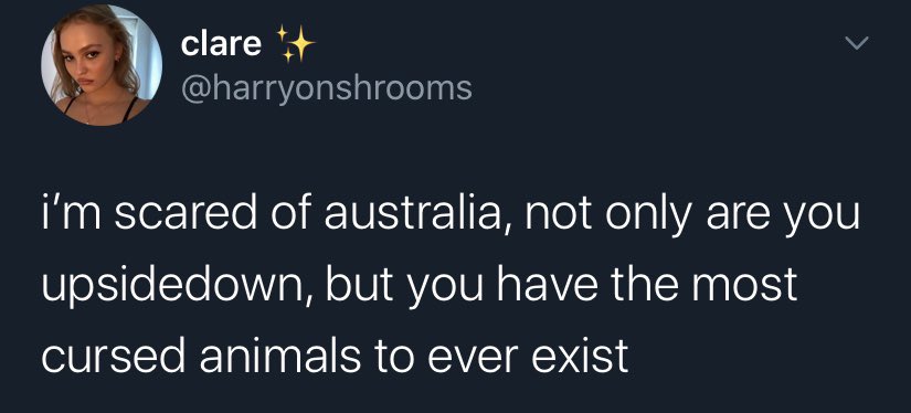 clare bullying me: a (short) thread cause i wasn’t bothered to scroll 