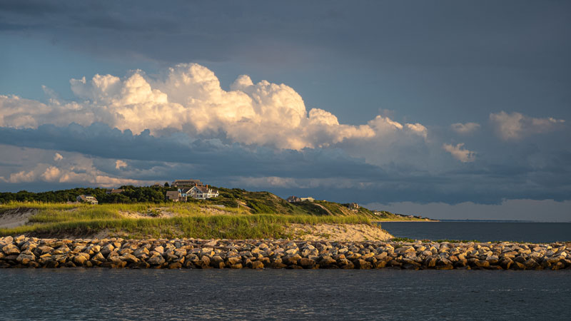 Steven Pinker tweet media