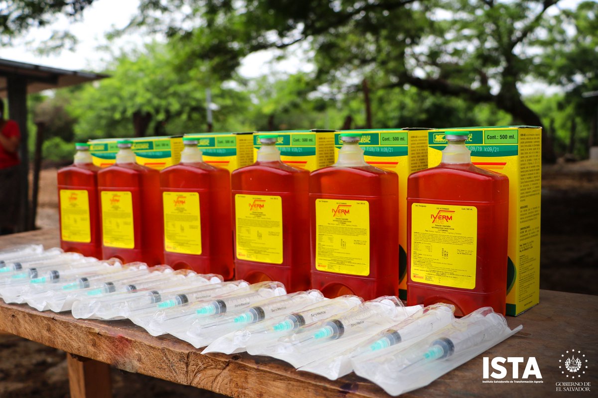 ISTA_SV's tweet photo. Como parte del Proyecto de Seguridad Alimentaria, la Gerencia de Escuelas Agrarias visitó la Cooperativa Caserío Los Ranchos, en San Miguel, para entregar insumos que aumentarán la producción de carne y se fortalecerán los ingresos económicos de 40 ganaderos del sector reformado. https://t.co/7KCDutnzqx
