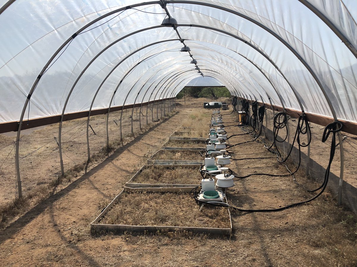 _charliedevine_'s tweet photo. Summer 2020 visual field report - second entry @dyan2001 @hamid_dashti2 @WillemJDvanLee1 @mostafajavadian @Wkolby @DJPMoore https://t.co/eOE1LiWbqS