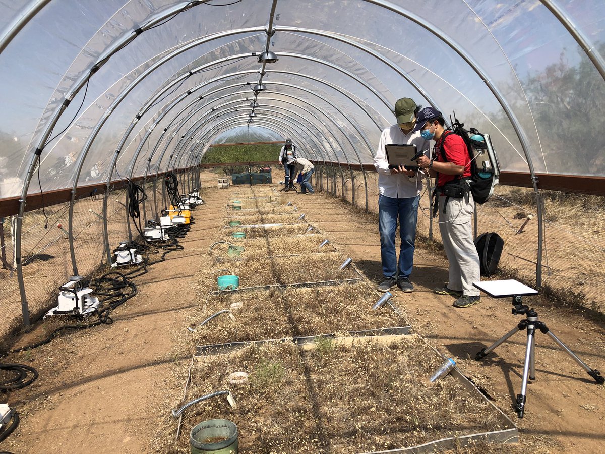 Charlie Devine (@_charliedevine_) on Twitter photo Summer 2020 visual field report - second entry <a href="/dyan2001/">Dong Yan</a> <a href="/hamid_dashti2/">Hamid Dashti</a> <a href="/WillemJDvanLee1/">Willem J.D. van Leeuwen</a> <a href="/mostafajavadian/">Mostafa Javadian</a> <a href="/Wkolby/">WK Smith π</a> <a href="/DJPMoore/">Dave Moore</a> Summer 2020 visual field report - second entry <a href="/dyan2001/">Dong Yan</a> <a href="/hamid_dashti2/">Hamid Dashti</a> <a href="/WillemJDvanLee1/">Willem J.D. van Leeuwen</a> <a href="/mostafajavadian/">Mostafa Javadian</a> <a href="/Wkolby/">WK Smith π</a> <a href="/DJPMoore/">Dave Moore</a>