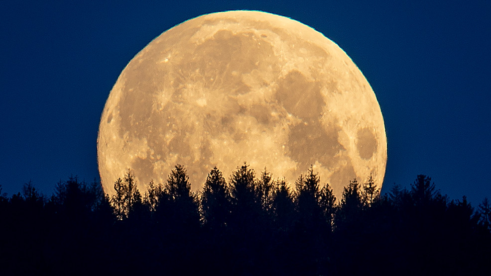 KATUNews's tweet photo. Eyes to the sky! Next lunar eclipse happening on Fourth of July amid fireworks

https://t.co/aLoBexRB9R https://t.co/4RS2GmdKDn
