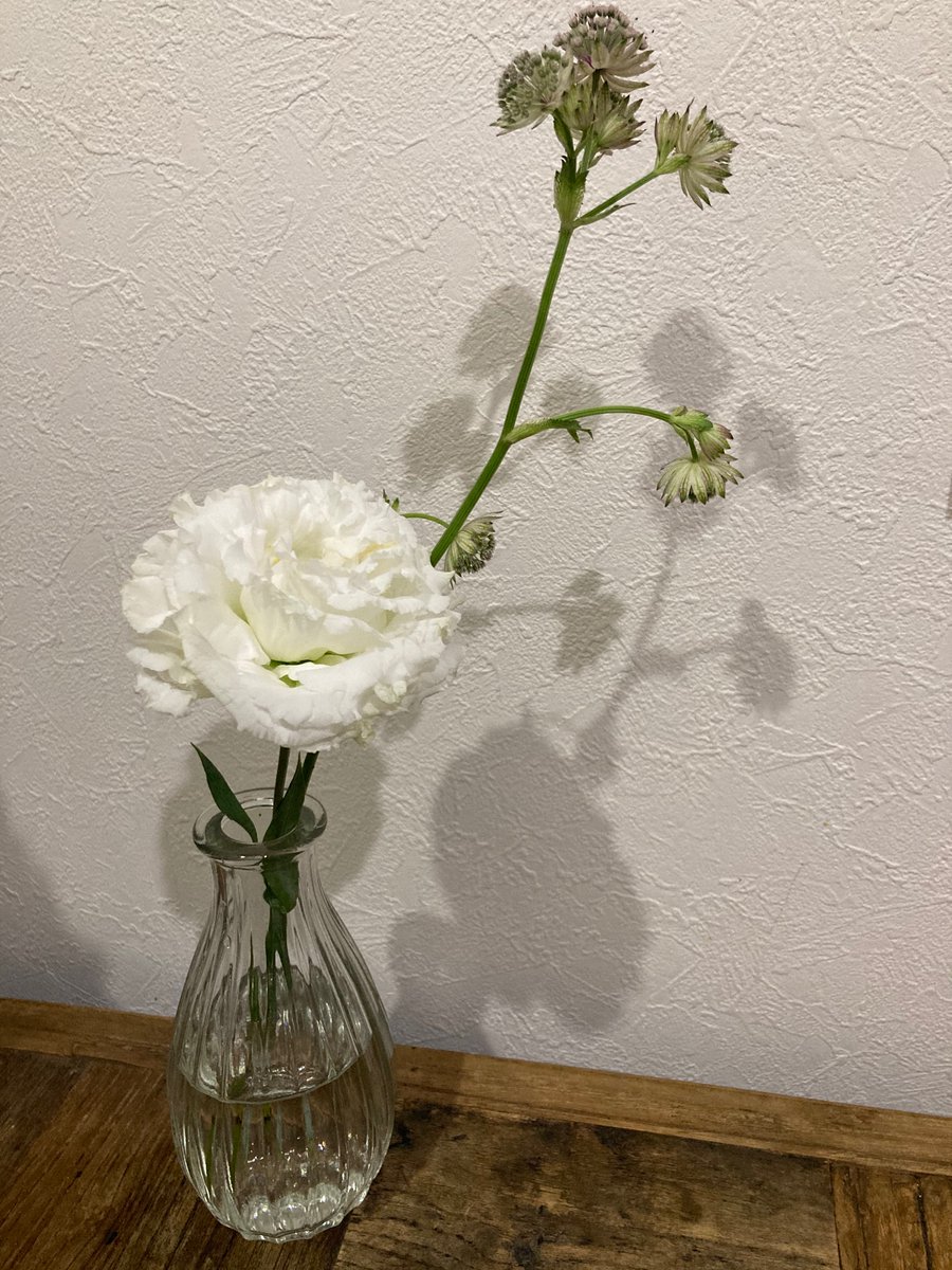イイハナ イイハナ