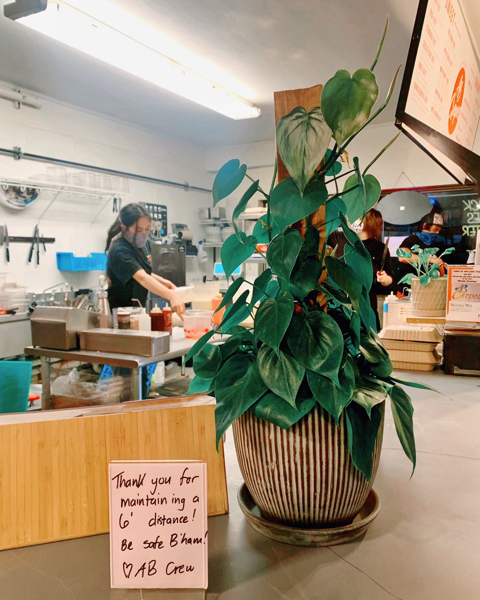 ABCrepes's tweet image. Great news! We are now back to opening at 9am every day. What is it they say? The early bird catches the crepe, &amp;amp; stays 6’ apart from the other early birds. Something like that! We will still be closing at 10pm each night, but look forward to rising &amp;amp; shining with you. 🕊🌞