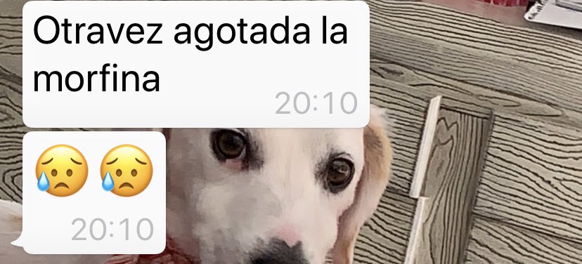 panaclo's tweet photo. Amigos la morfina que necesita Jared está en desabasto !  por ningún lado la encuentran , tiene dolores insoportables . En el  🏥 lo mandaron literalmente a morir a su casa .Alguien que por favor tenga acceso a ella ? Por favor es un niño que está en un grito de dolor . Ayuda https://t.co/S1e1NWuFXJ