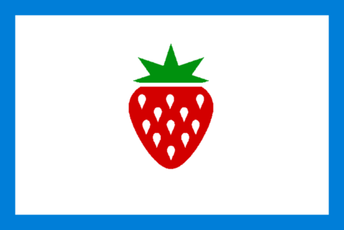 Here are some under the radar GOOD FLAGS from US CitiesNantucket MARoswell NMMarshall AR (one of several cities that have claimed to be "Strawberry Capital of the World")Baltimore MD (better than Maryland's flag IMO)