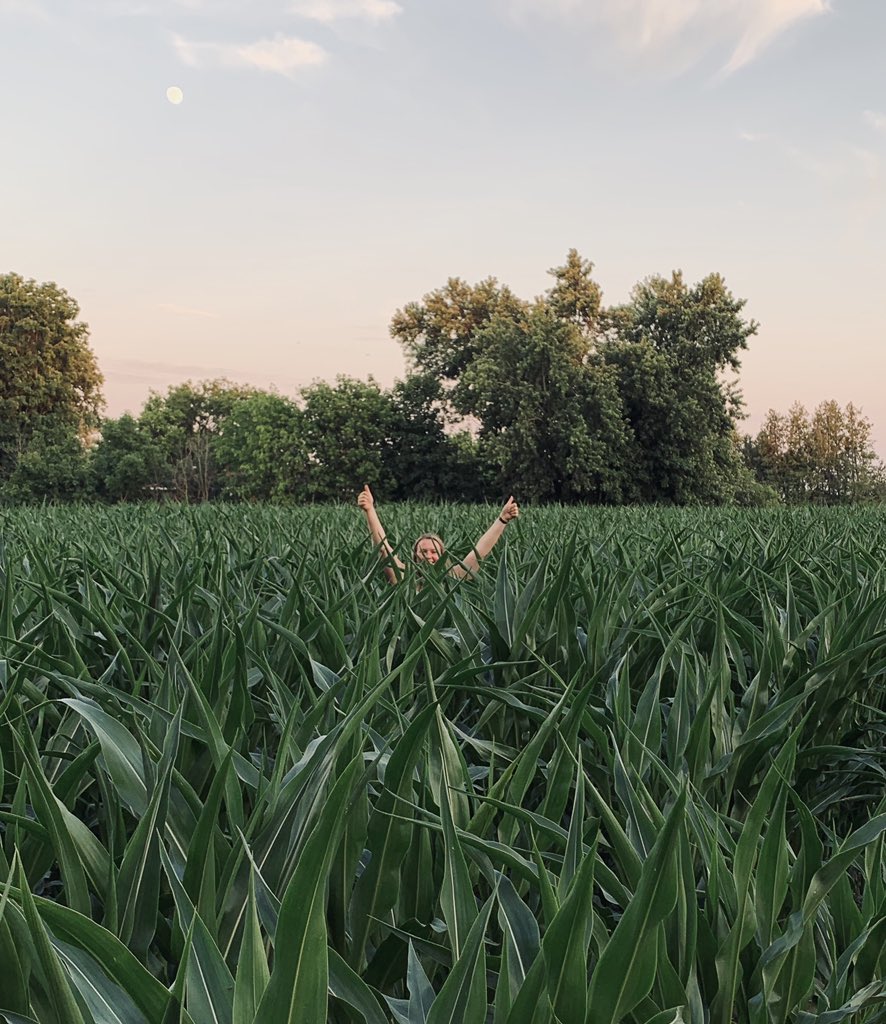 Laura Empringham tweet media