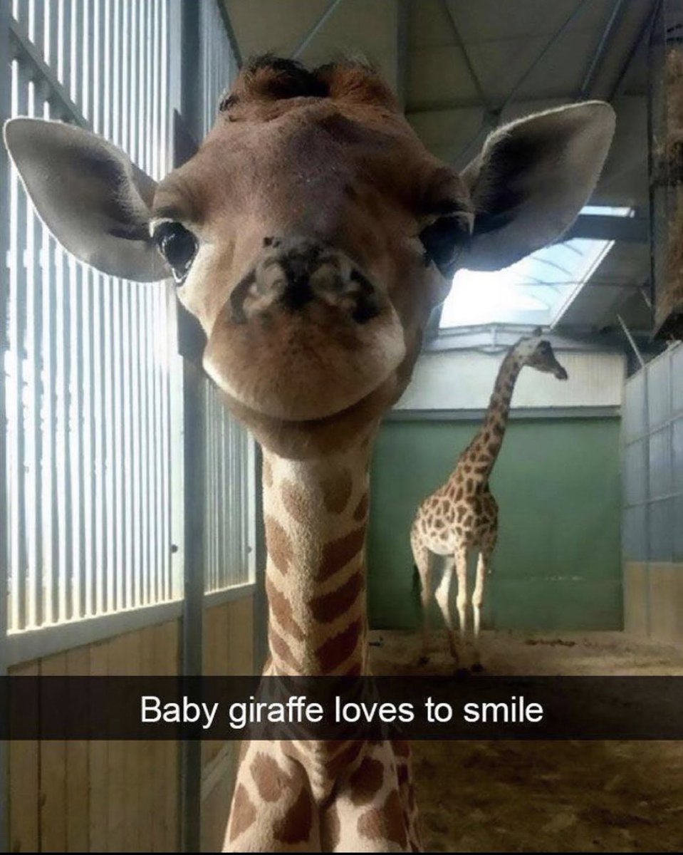 I’m still not feeling up to replies yet so please be patient with me.

Instead, I offer you this.